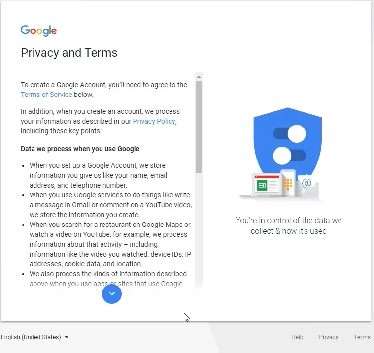 Google Terms