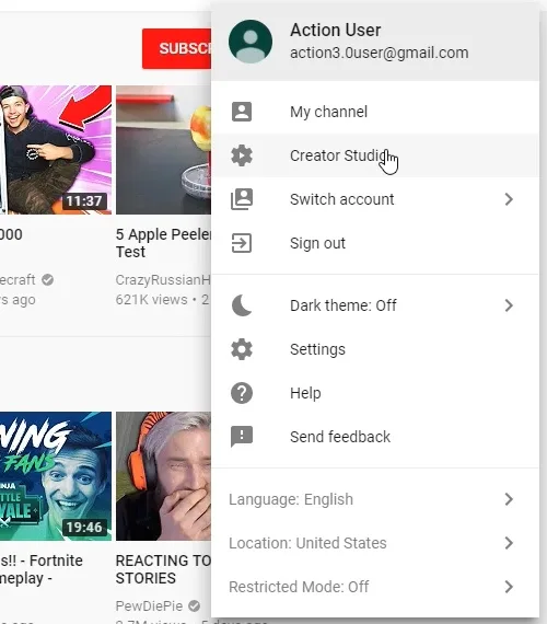 YouTube User panel