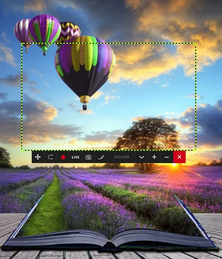How to take a screenshot of a region