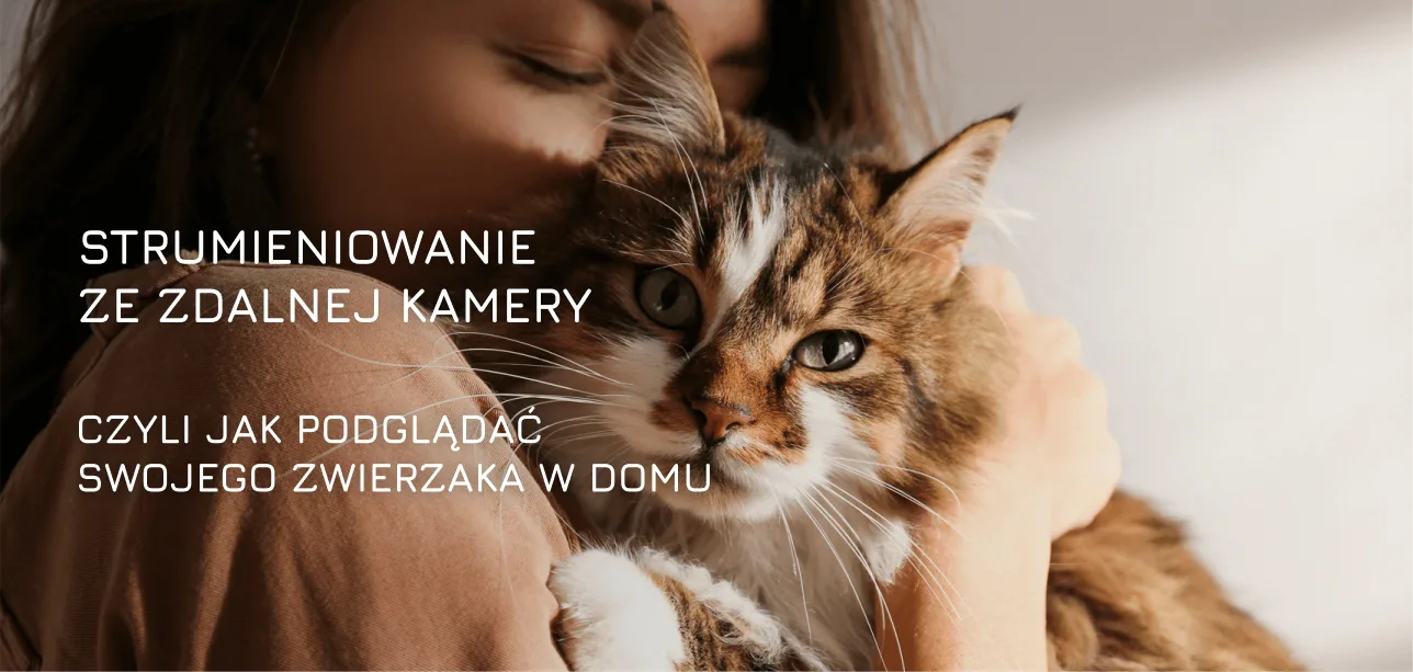 Strumieniowanie ze zdalnej kamery, czyli jak podglądać swojego zwierzaka w domu