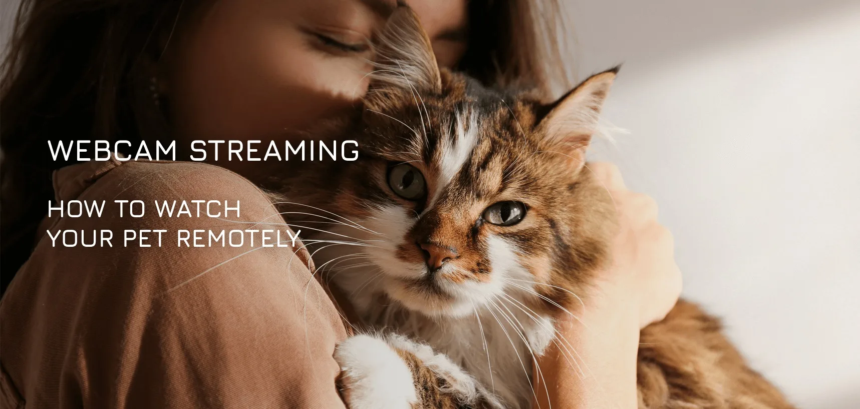 How To Watch Your Pet Remotely – Webcam Streaming