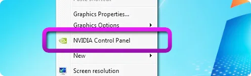 Mirillis Action! - Open NVIDIA Control Panel
