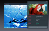 Splash - Exporting...