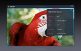Video Playback with Info Panel