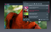 Playlist thumbnail view